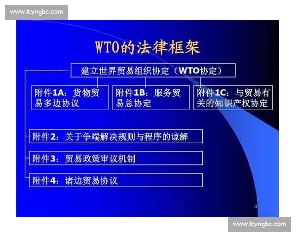 围绕追加处罚机制完善与实施路径的法律实践探讨问题分析及对策研究